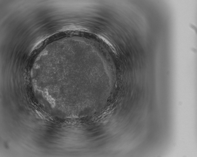 X0000096490775200802141744