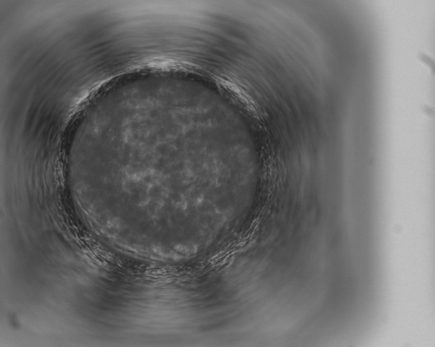 X0000096490776200802141744