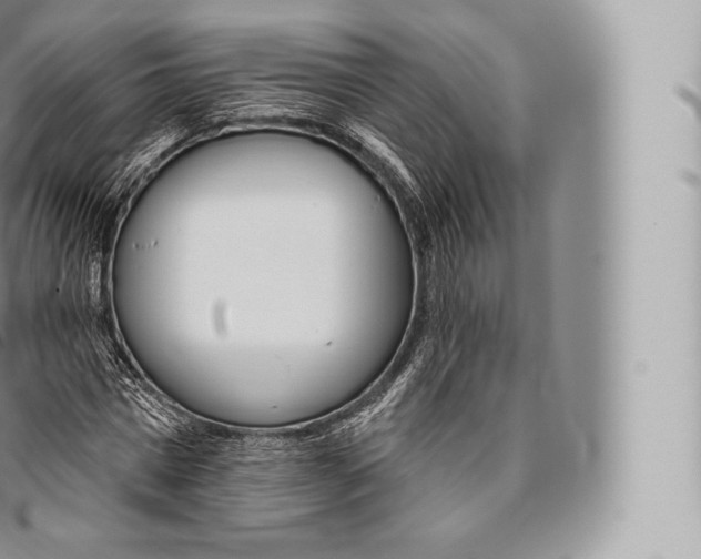 X0000096490777200802141744