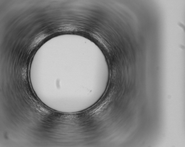 X0000096490778200802141744