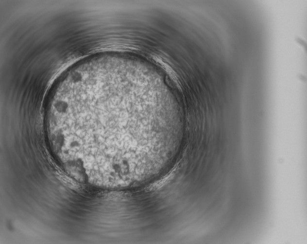 X0000096490779200802141744