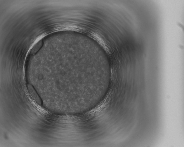 X0000096490780200802141744