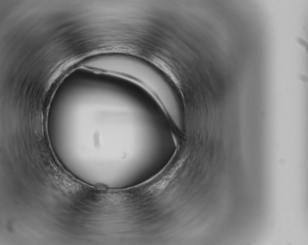 X0000096490781200802141744