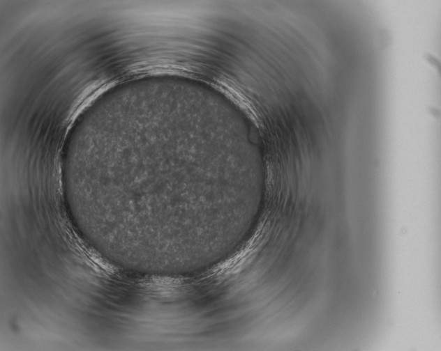 X0000096490782200802141744