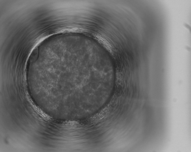 X0000096490784200802141744