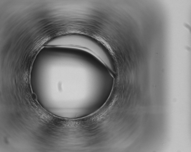 X0000096490785200802141744