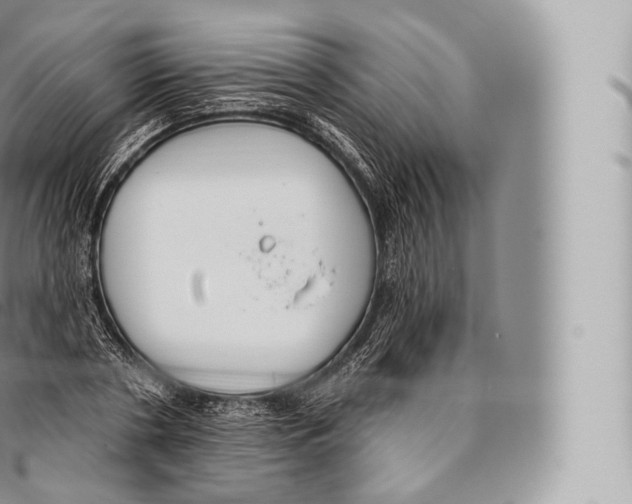 X0000096490786200802141744