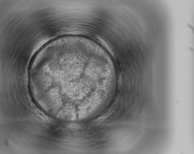 X0000096490787200802141744