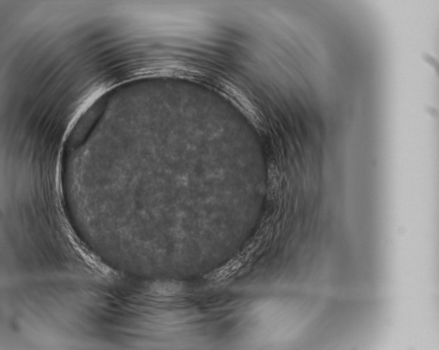 X0000096490788200802141744