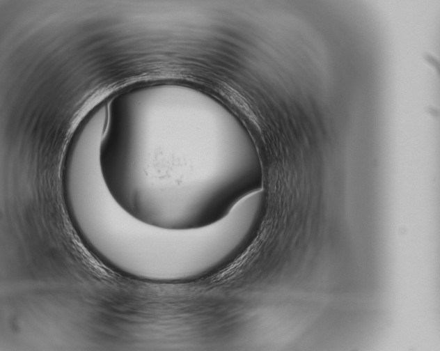 X0000096490789200802141744