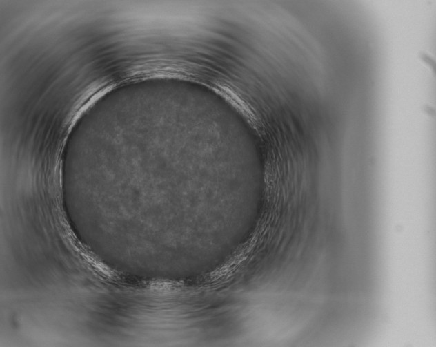 X0000096490790200802141744