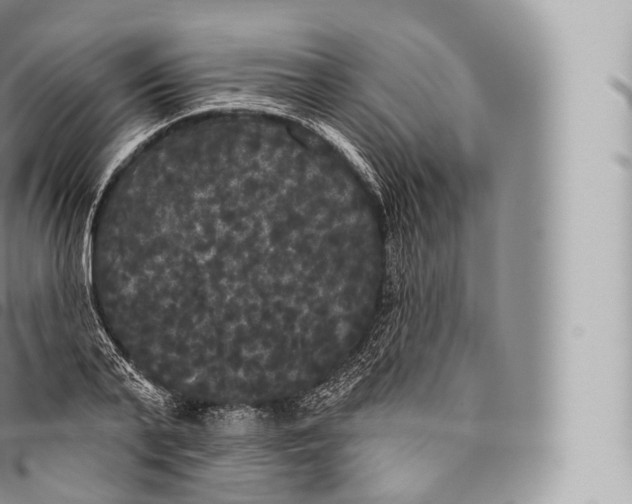 X0000096490791200802141744