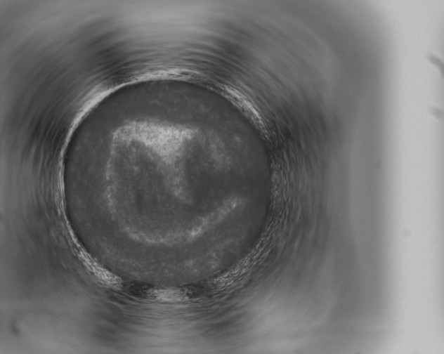 X0000096490792200802141744