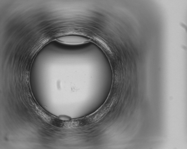 X0000096490793200802141744