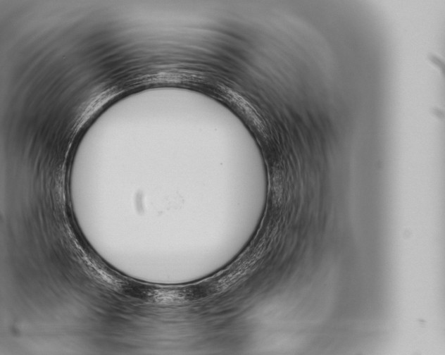 X0000096490794200802141744