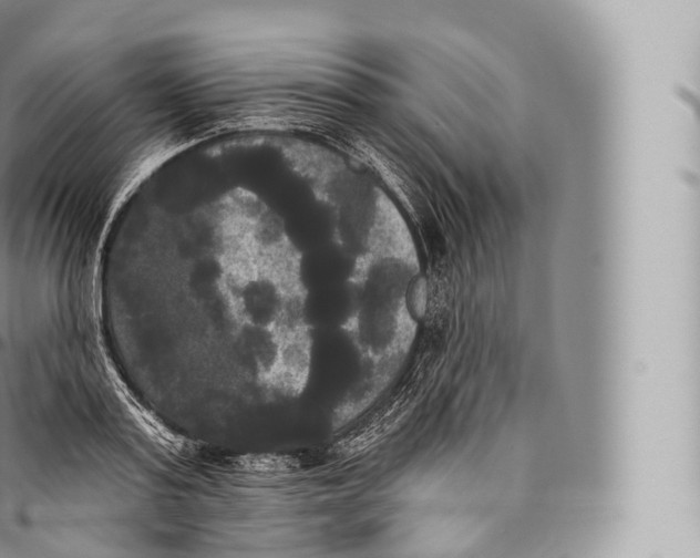 X0000096490795200802141744