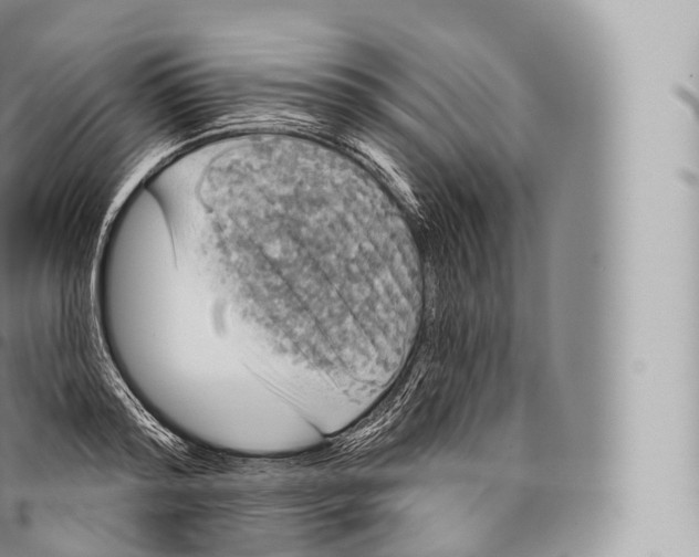 X0000096490796200802141744