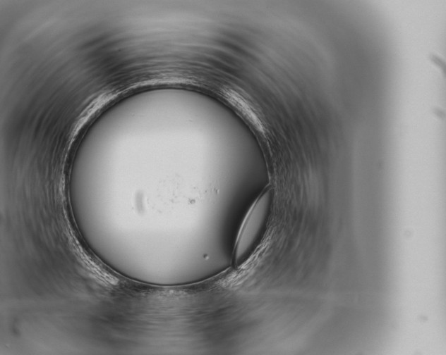 X0000096490797200802141744