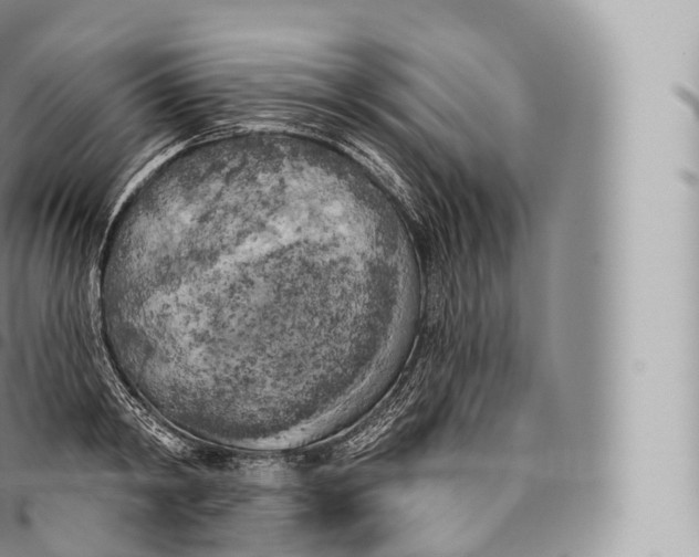 X0000096490798200802141744