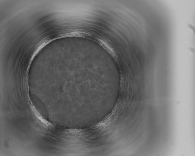 X0000096490800200802141744