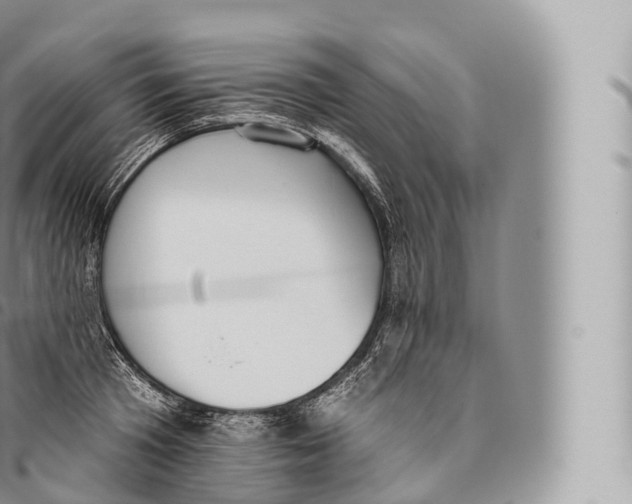 X0000096490801200802141744