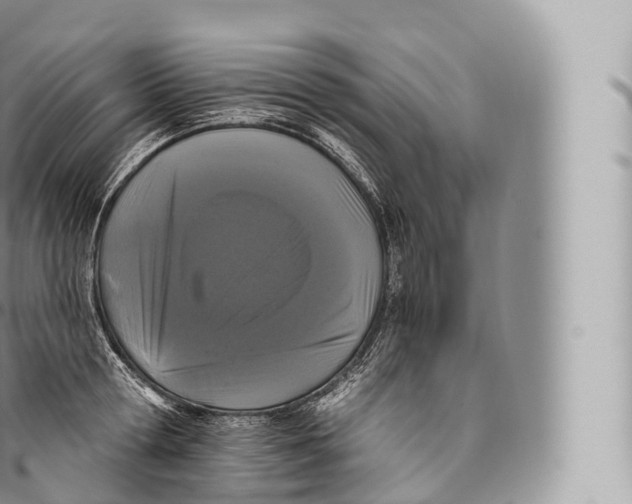 X0000096490802200802141744