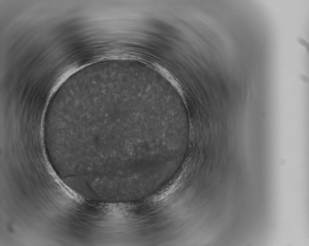 X0000096490803200802141744