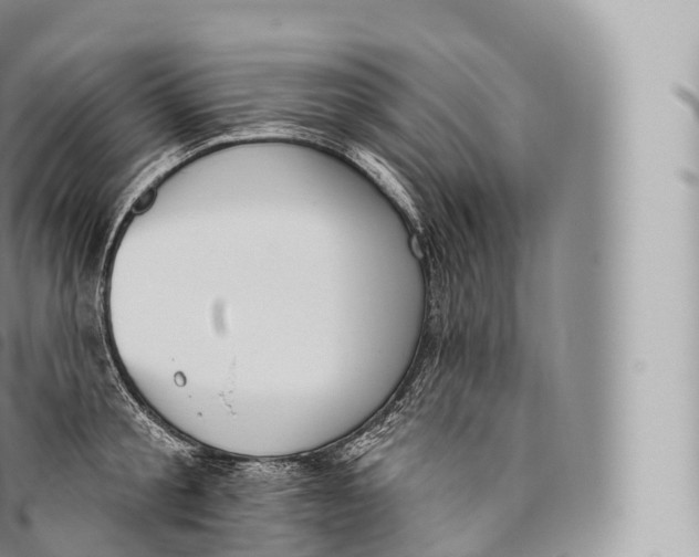 X0000096490805200802141744