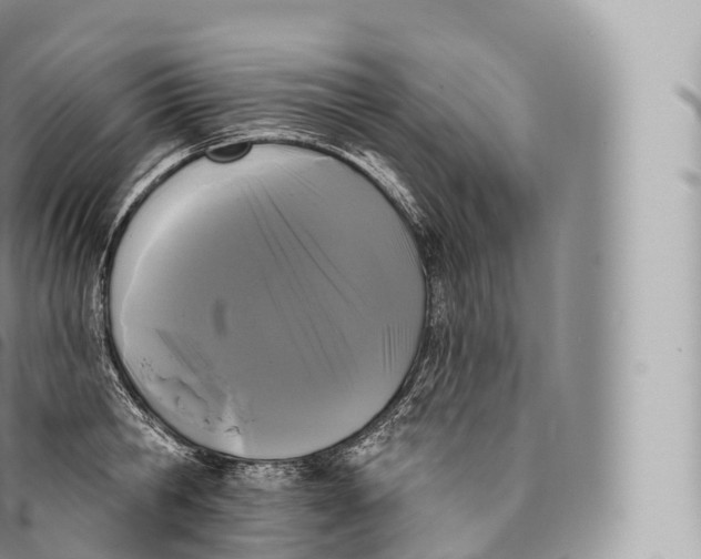 X0000096490806200802141744