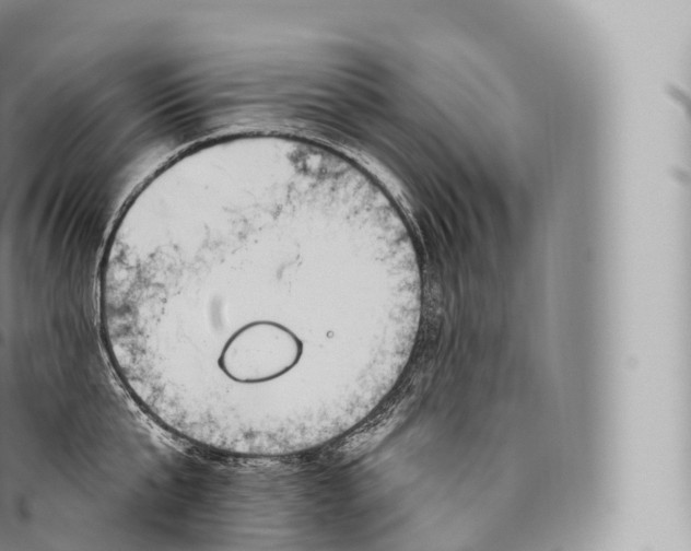 X0000096490807200802141744