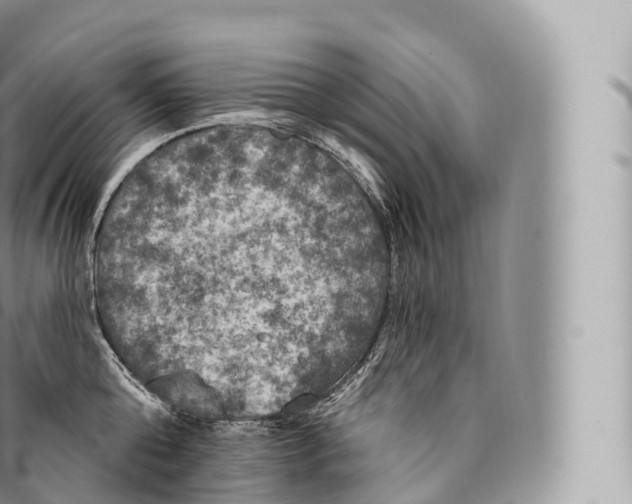 X0000096490808200802141744