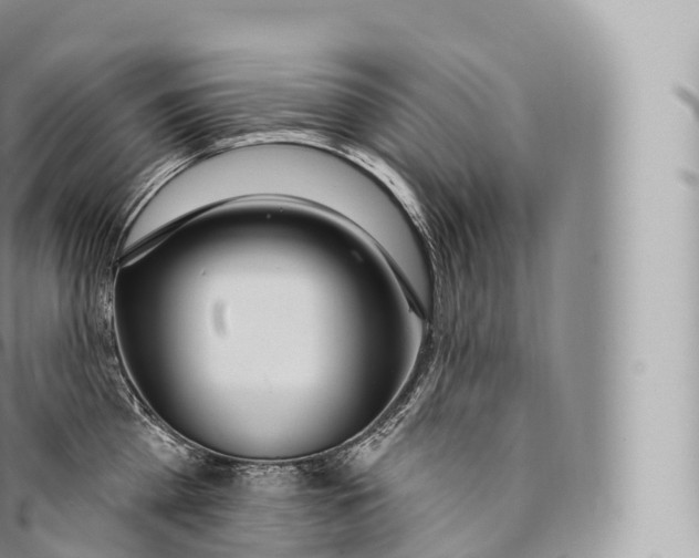 X0000096490809200802141744