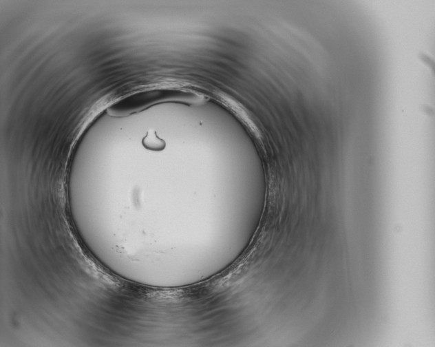 X0000096490810200802141744