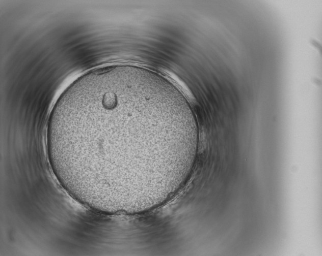 X0000096490812200802141744