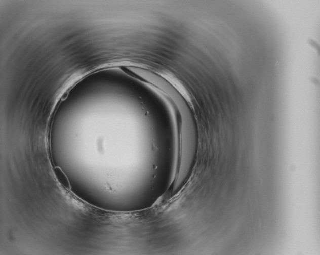 X0000096490813200802141744