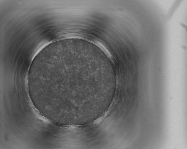 X0000096490814200802141744