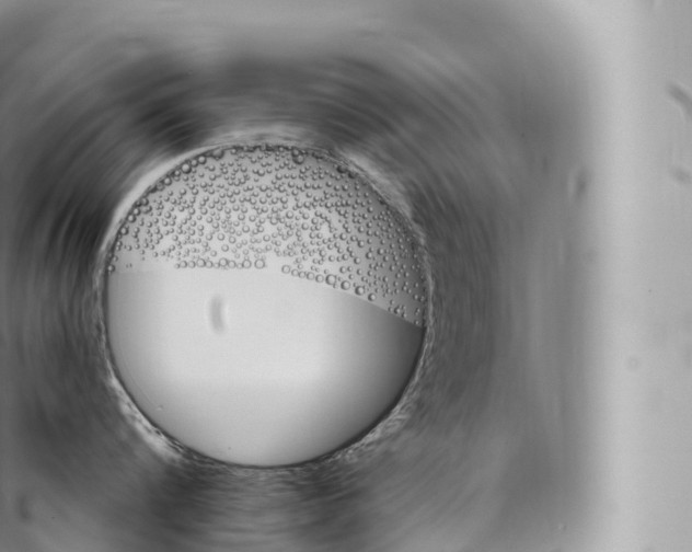 X0000096490816200802141744