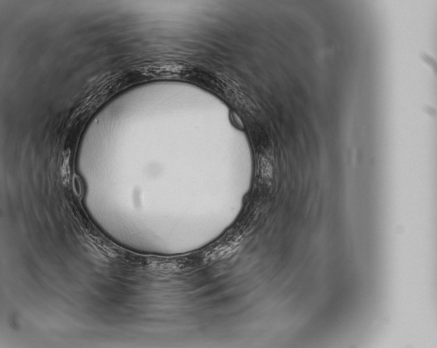 X0000096490818200802141743