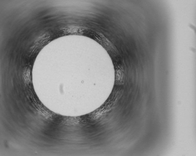 X0000096490820200802141743