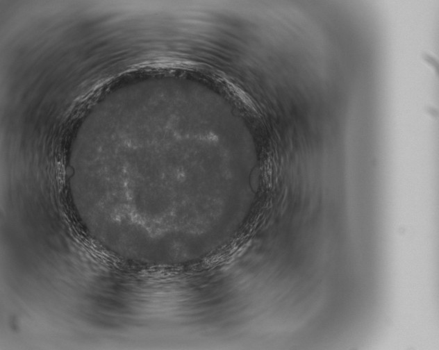 X0000096490821200802141743