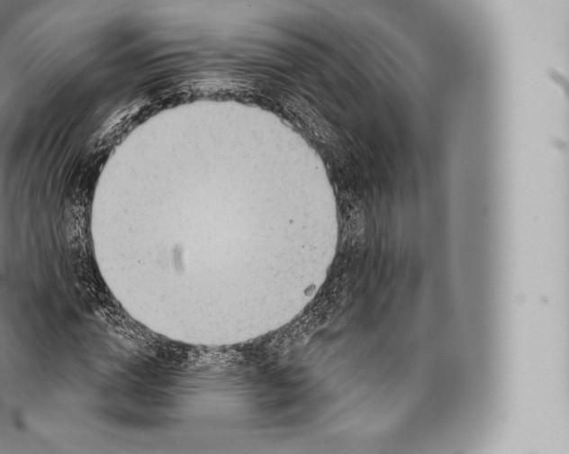 X0000096490824200802141743