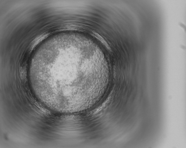 X0000096490826200802141743