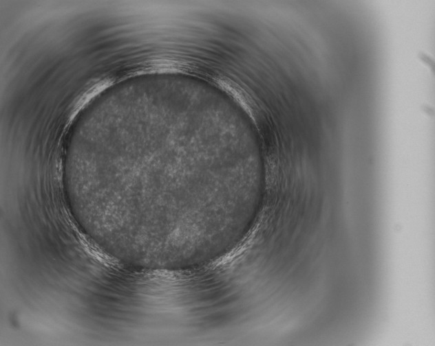 X0000096490827200802141743