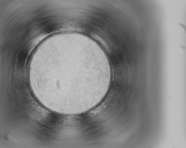 X0000096490828200802141743