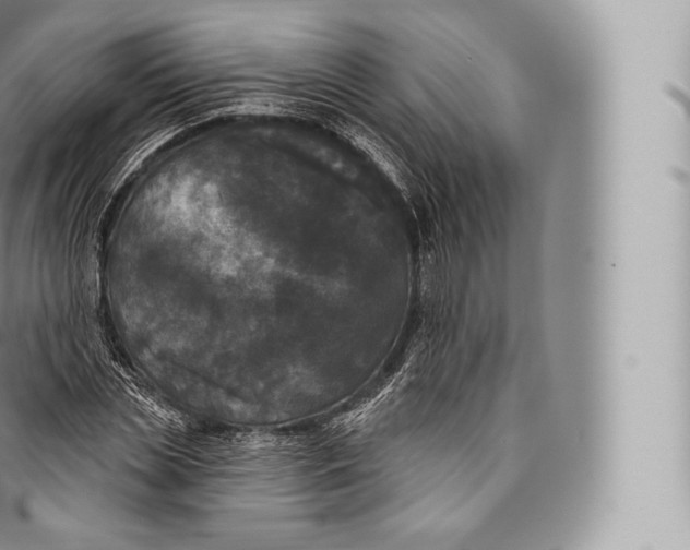 X0000096490829200802141743