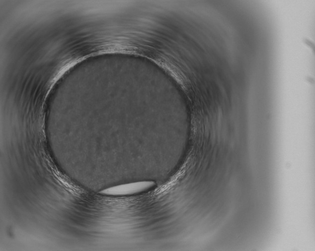 X0000096490830200802141743