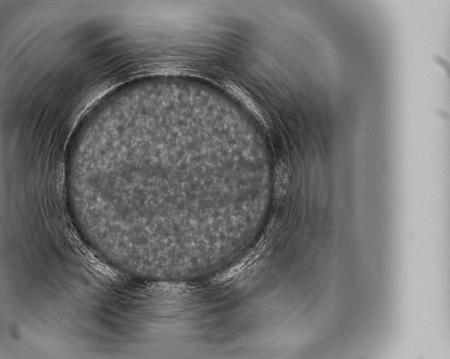 X0000096490831200802141743