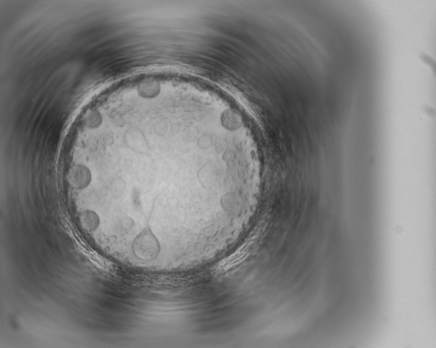 X0000096490832200802141743