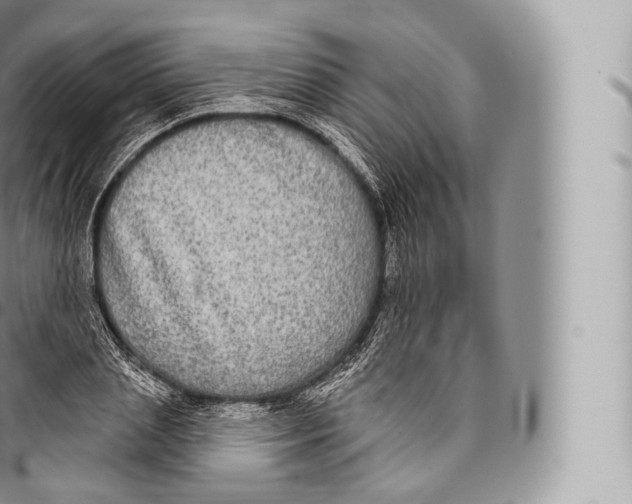 X0000096490837200802141743