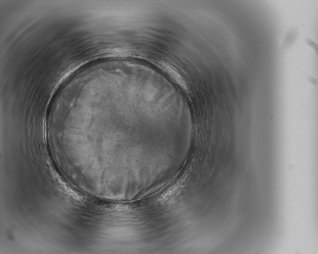 X0000096490839200802141743